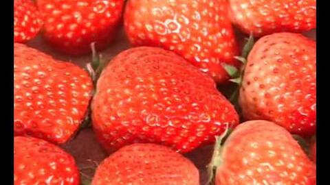 国产视频草莓,甜蜜滋味，映照时代光影